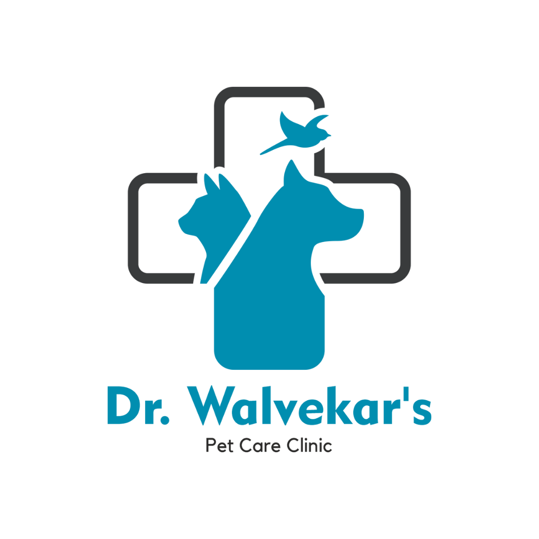dr walvekar
